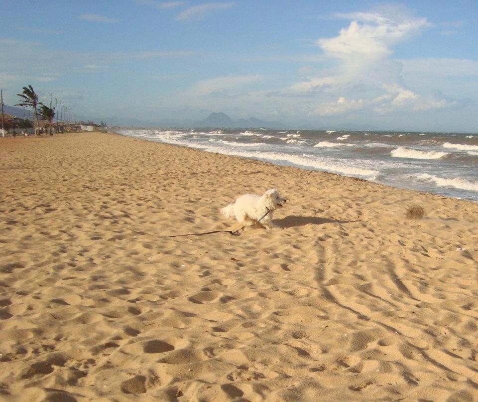 Casa De Praia - Verao Vermelho I - Cabo Frio - Unamar Bagian luar foto